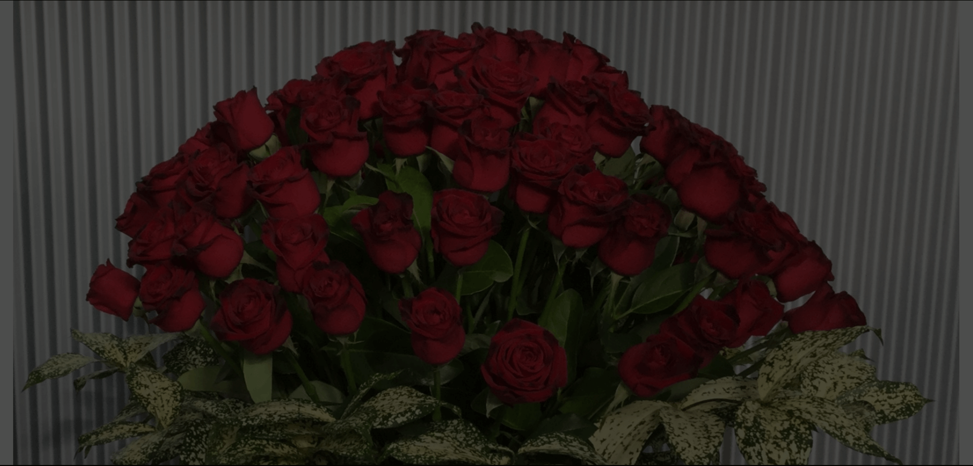 Florist Hoppers Crossing Vic Florist Near Me Florists Near Me